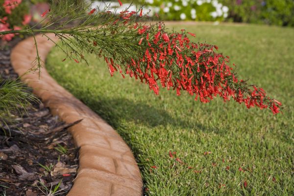 Brick Edging in Ashburn