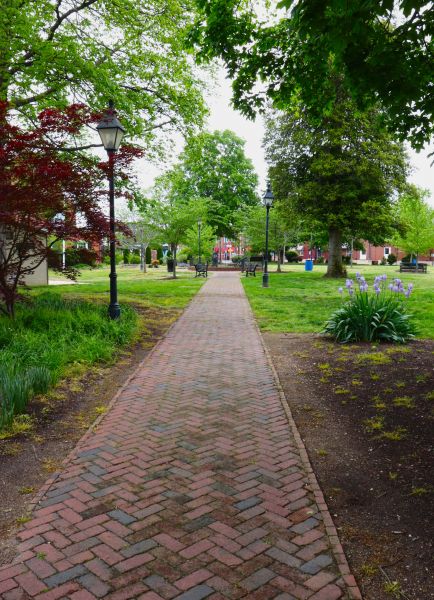 Brick Pathway Repair in Ashburn