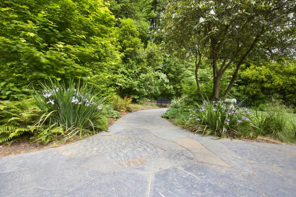 Stone Hardscape Service in Ashburn
