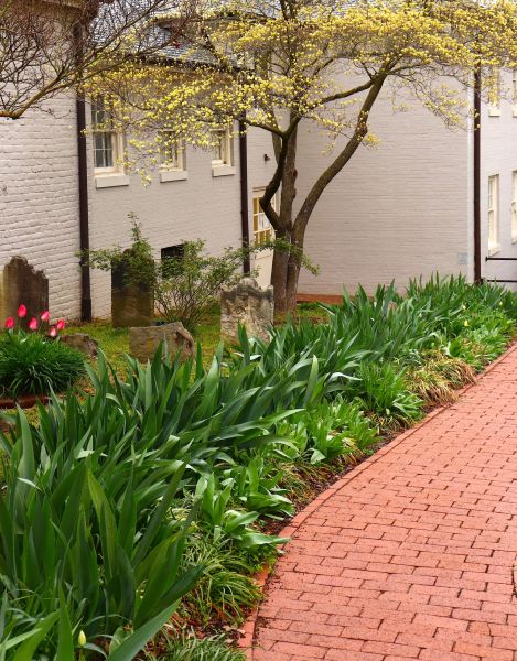 Brick Flatwork Repair in Ashburn